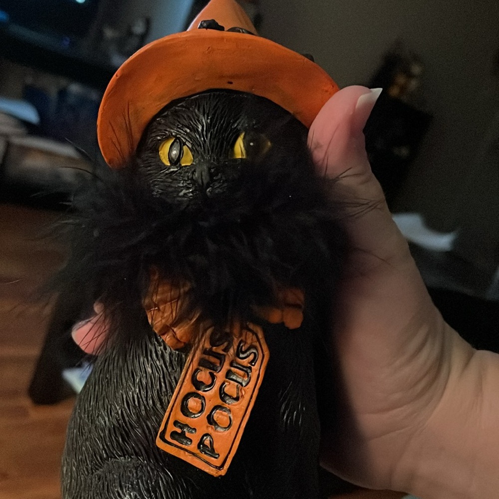 Black cat witch hat - Picture 5 of 5